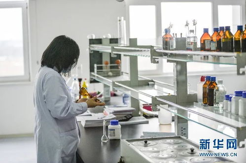 合汽生材 科技賦能飼料業(yè)，網(wǎng)絡(luò)技術(shù)研發(fā)引領(lǐng)產(chǎn)業(yè)升級(jí)